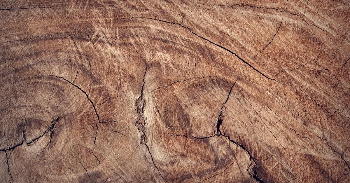 Close-up of a textured brown wooden surface showcasing natural patterns and grain details.